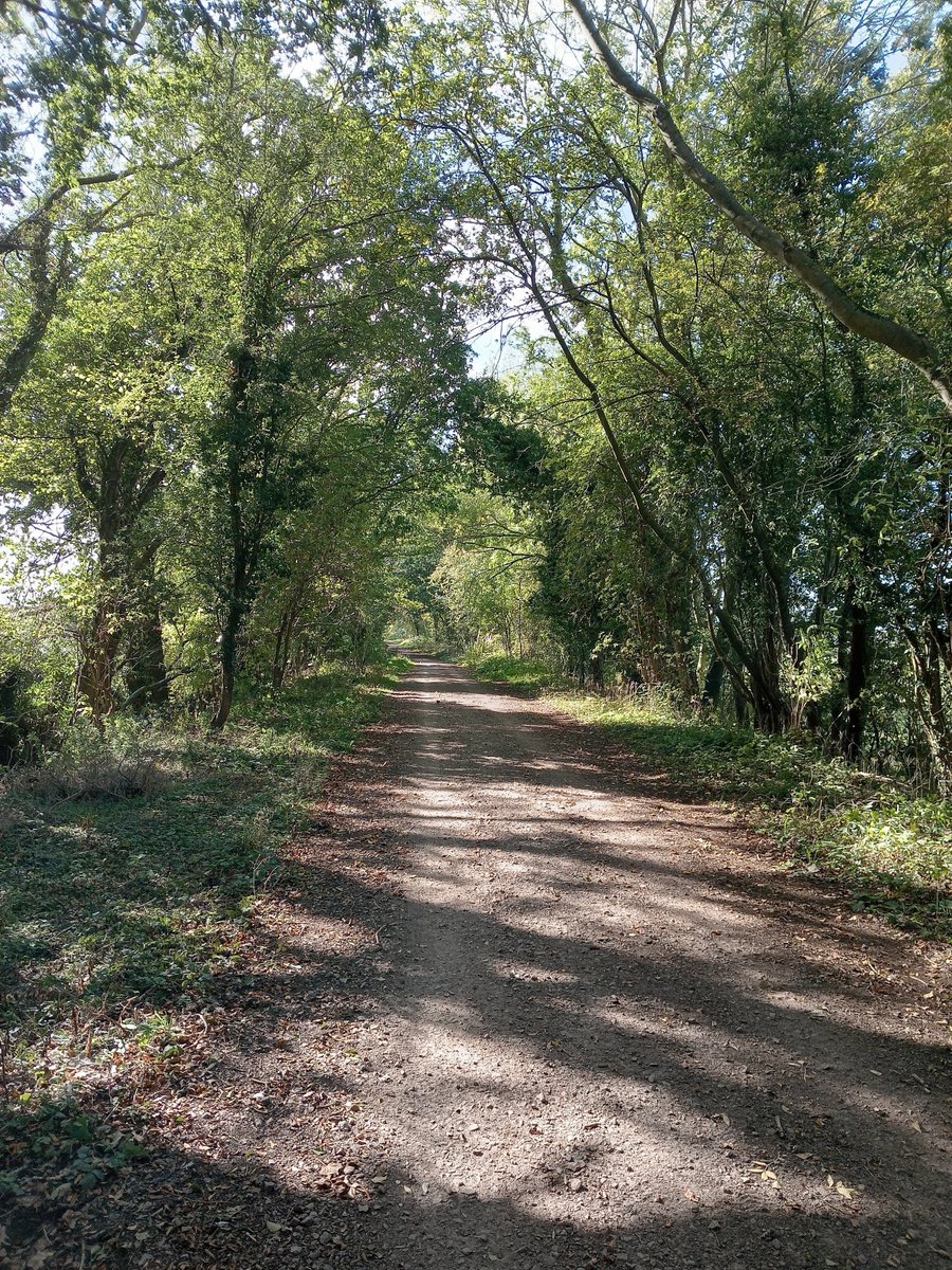 phil0073's tweet photo. On the #Greenway. Previously the #NeneValleyRailway aka #NorthamptonAndPeterboroughRailway ran by #LNWR . Here from the site of #BridgeStThrapstonRailwayStation, heading for the site of #RingsteadAndAddingtonRailwayStation.
#PhilOnaBike #FootpathFriday #treepeople #Railways https://t.co/3ksTNuRTbH