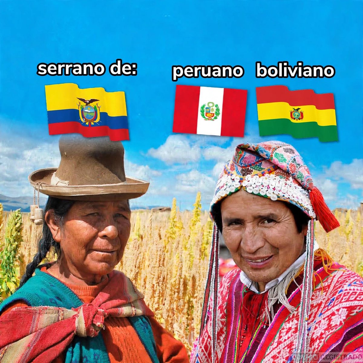 rudeus2000_'s tweet photo. @cumbayorker @eduardoerazov @LDU_Oficial @BarcelonaSC @LineaDe5Ec @SFRadio889 @StudioFutbol @ElCanalDFutbol @RadioDibluFM @Caravana750 Jajajaja lo dice alguien que ni foto de perfil tiene crees que me ofende eso longuito cara de artesanía prehispánica, ambos son la misma mierda junto a los bolivianos 🤣🤮 https://t.co/udpGyHECr7