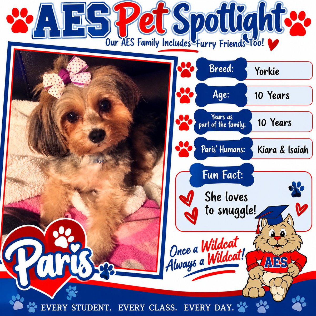 sharonhporter's tweet photo. @EsAllenwood Pet Spotlight... Meet Paris, the Yorkie!!! https://t.co/FRED24bA4z