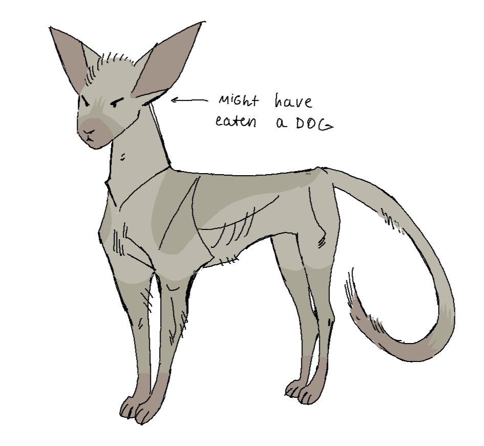 IRONFACEARTS's tweet photo. I drew him not being genderfluid 
#mewgenics.(? Is this even classified as mewgenics? This is literally t1000 as a cat and not really meant to be c1000..but.. hm) #terminator https://t.co/aV28806L6Y
