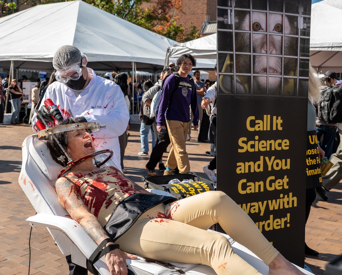 PETA_Latino's tweet photo. ¿Difícil de ver? Los experimentos que se realizan en monos en @UW  también lo son 🧪
Hicimos público un inquietante “experimento” con humanos porque, en el centro de primates de UW, los monos son sometidos a procedimientos invasivos en los ojos y el cerebro. https://t.co/J4kF1We2OQ