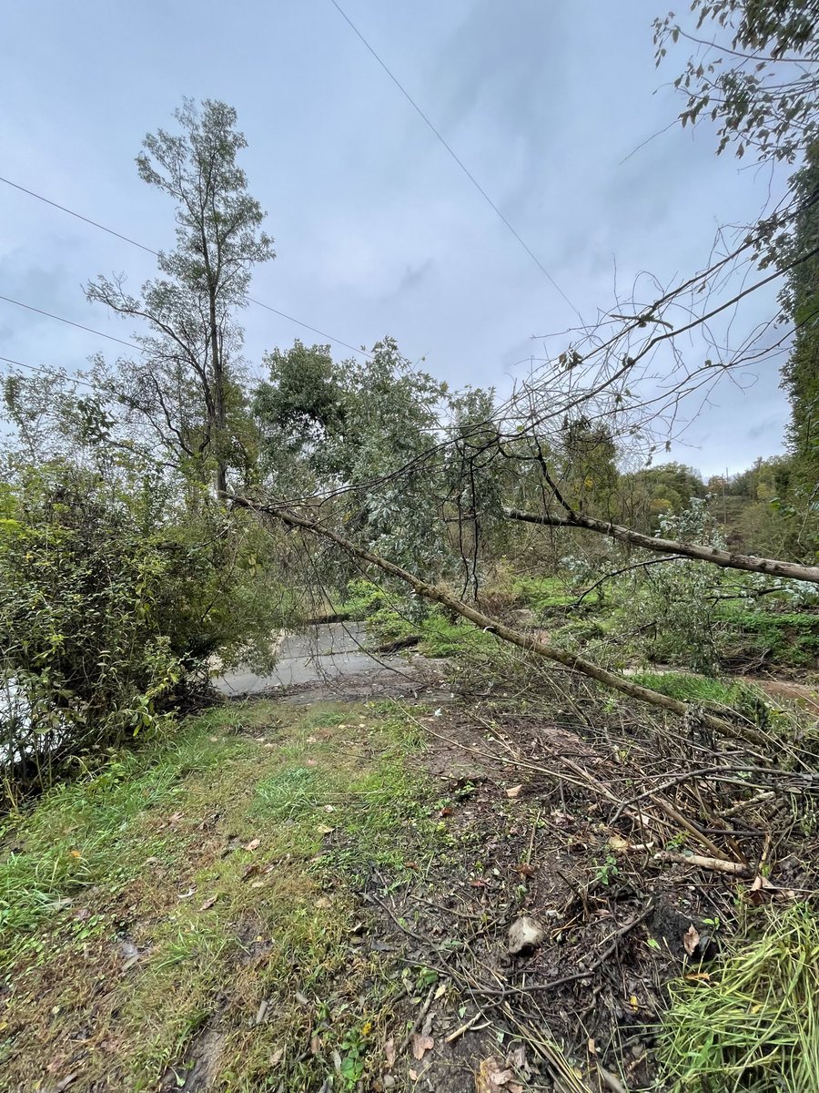 OhioPowerCo's tweet photo. SOUTHEAST OHIO 3:15 p.m. UPDATE: The outage was caused by a tree that fell onto transmission power lines. Crews are actively working to restore power, with an estimated restoration time of 6 p.m. Thank you for your patience. https://t.co/UnXQdpl9gC