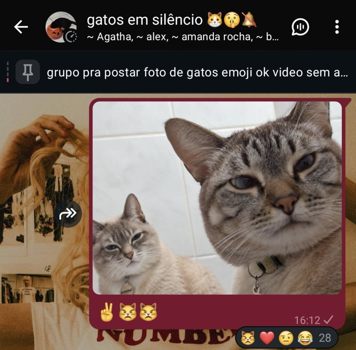 2yuvidas's tweet photo. grupo perfeito meu deus https://t.co/OKBNtSZ2EV
