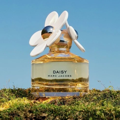 jimintinystars7's tweet photo. What user jimintinystars7 smells like ✨ https://t.co/MIERxscoza