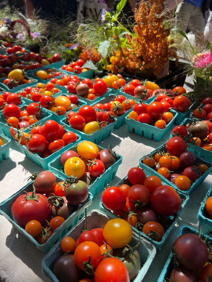 HannahJamerpm's tweet photo. Vecino! Te sobraron tomates de tu huerto Deja una cesta en la reja de mi casa, yo te daré pan casero a cambio. https://t.co/myEwVeGP2g