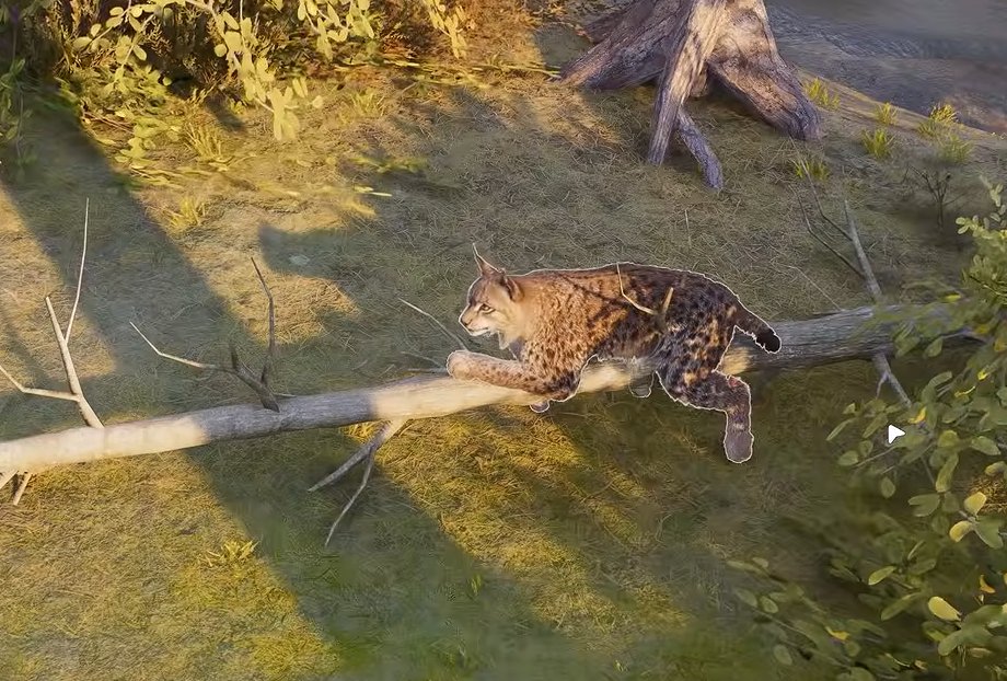 lider_official's tweet photo. Animals will be ACTIVELY INTERACTING with their environments in @PlanetZooGame 2! 🐈

Who wouldn't fancy a little rest on a broken tree? https://t.co/dCagiS2XIp