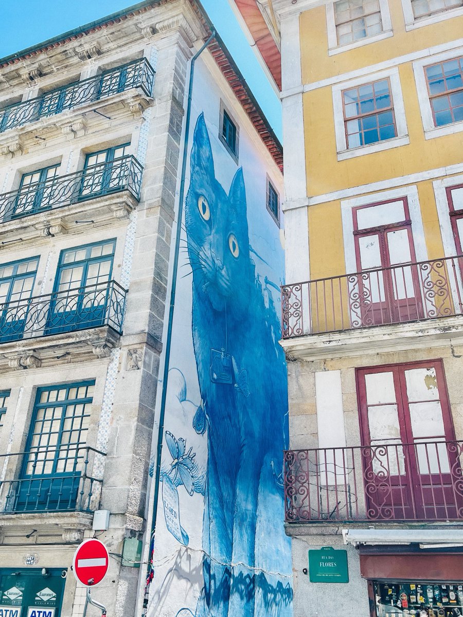 interiorsuckerr's tweet photo. Porto city charm https://t.co/y85umz7pj1