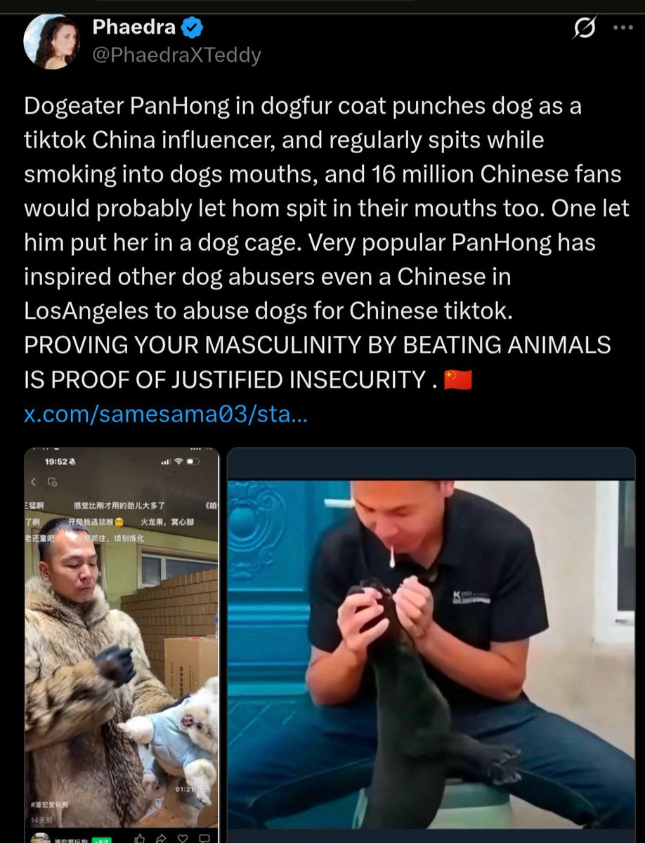 PhaedraXTeddy's tweet photo. The man spitting in a dogs mouth is invited to speak at Chinese schools.
That passes for "influencer" in #China 🇨🇳.
No wonder what happened to one year old #WangWang and her pups, three months ago. No wonder there's been no #JusticeForWangwangAndHerPuppies .
The cruelty is the point, it's the m.o. of #China🇨🇳. 
"Better you than me", "Your suffering is my gain" " you lose I win" is the 🇨🇳philosophy.
You oppose animal cruelty as a Chinese and you could go to jail, and they do. 
Foreigners may get away with protesting animal cruelty in #China 🇨🇳 .