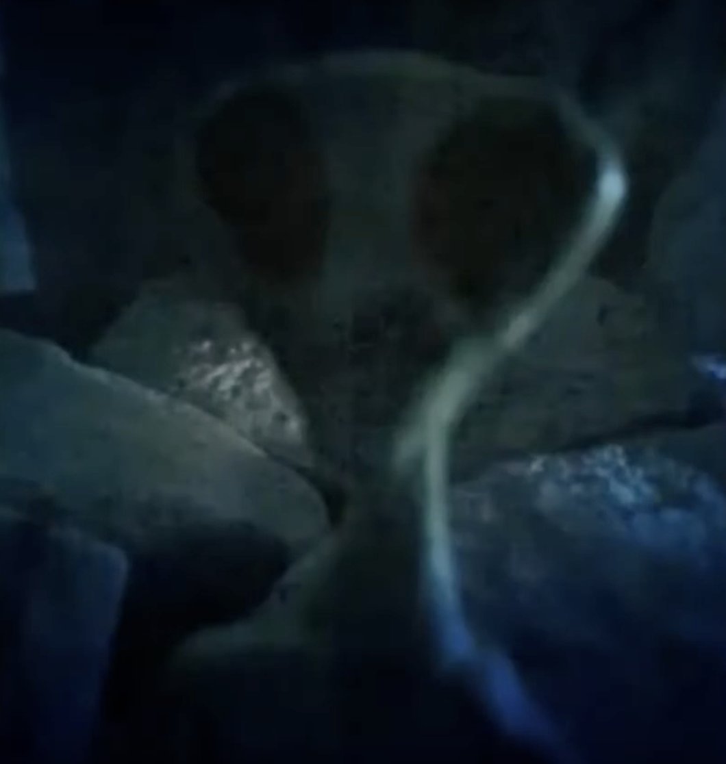 UAPWixy's tweet photo. 🚨The "Citadel", a cave system under the Nazca Lines, Peru🇵🇪..🚨
These videos have been around for over a decade..
The Alien beings found & filmed under these grounds are here for you to see...
Tridactyls & 8ft Mantis beings & Gold artefacts....
https://t.co/HRTOkVyVN8 https://t.co/aKBTGJUBSq