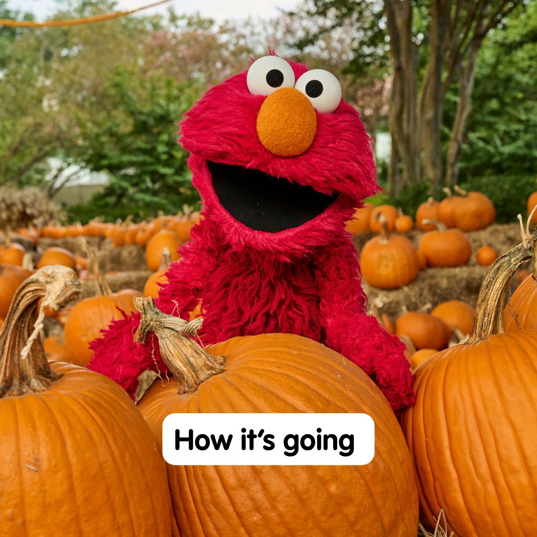 elmo's tweet photo. IT’S PUMPKIN SEASON!!! 🎃🎃🎃 Yeah baby!!! 🎃❤️ https://t.co/RESxhWpkvl