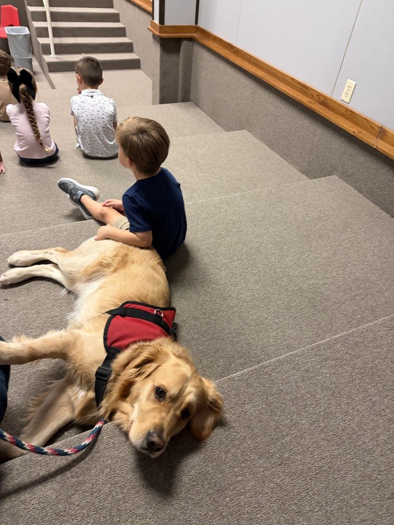 GroesbeckHOW's tweet photo. πΎ Rugby's Week at a Glance! πΎ
Another PAW-some week at HOW for our favorite four-legged GOAT! πΆπ
Rugby got to help with perfect attendance winners and Crimestoppers bully presentation this week.
#RugbysWeekAtAGlance #ChoseLove #HOWFamily #GoGoats https://t.co/4NAwJRANK1