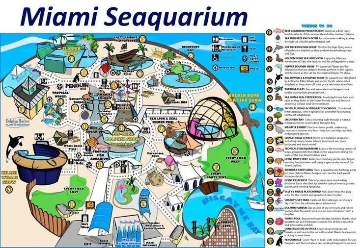 Lucia_Leonidaa's tweet photo. The GTA 6 zoo could be way bigger than we thought. 👀

The map layout appears to line up with Zoo Miami, including the C-shaped pool and surrounding paths. If this is accurate, the zoo could end up being one of the biggest attractions on the entire map. https://t.co/SRZLn47sgx