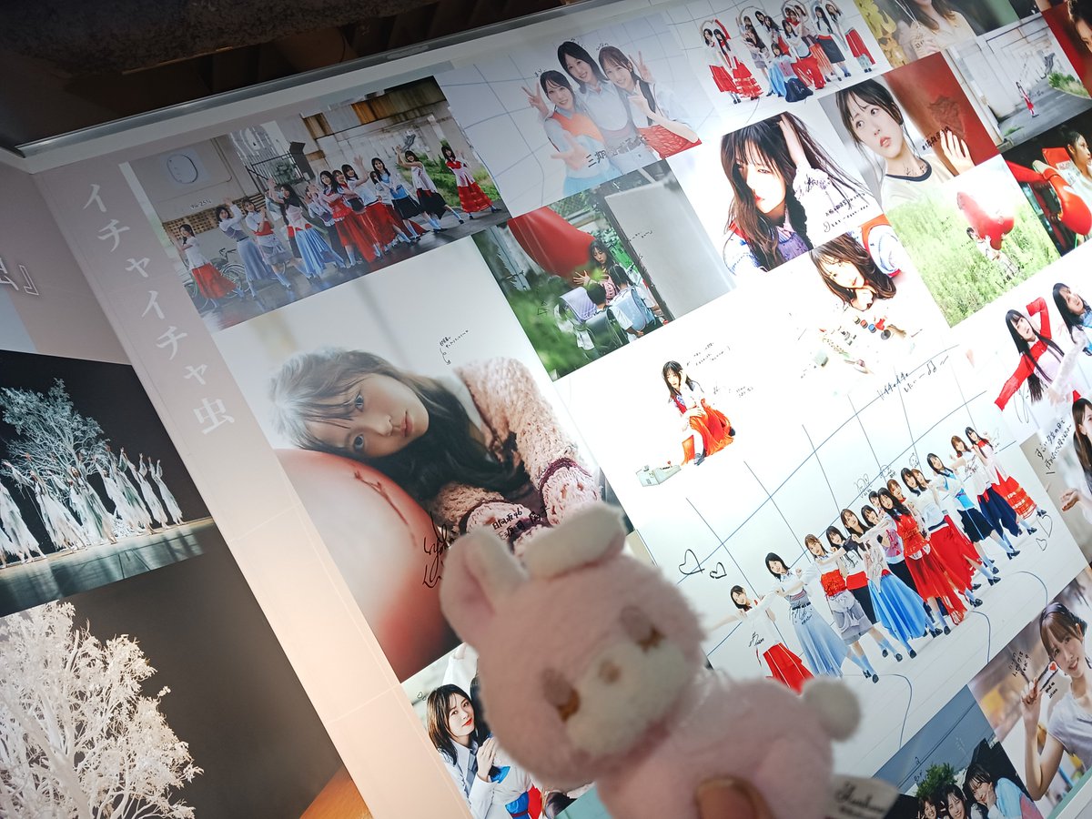 W8u2u's tweet photo. もももちゃんと一緒に
日向坂のパネル展♡ https://t.co/XLTHBGaw5W
