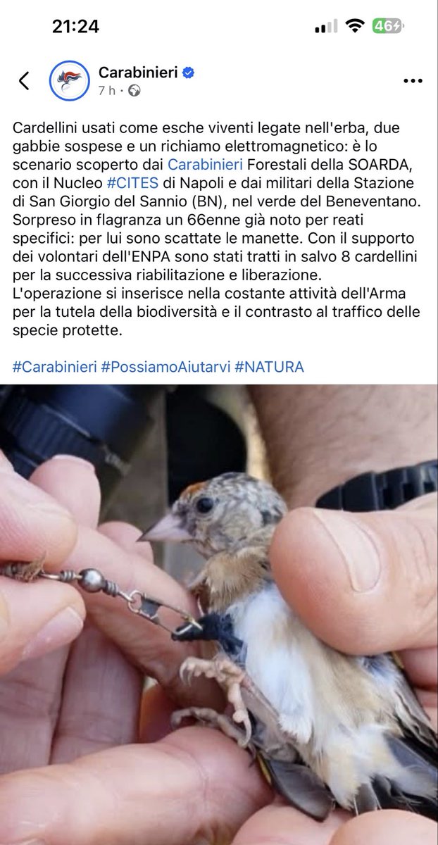 VerdeVetRescue's tweet photo. Cacciamerda e bracconiere già noto , finalmente arrestato ma domani sarà fuori , gli animali, si sa, non contano. Grazie ai @_Carabinieri_ ed a @enpaonlus https://t.co/DBCOfxueiH