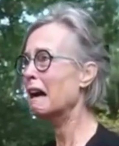 ChestyPullerGst's tweet photo. Someday children will study the fall of western civilization, and this woman's photo will be on the front of the textbook. https://t.co/RHXesd4vSY