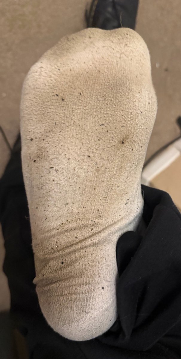 SolesOfSpritz's tweet photo. Imagine the smell of these socks x3
There’s another pair inside that’s baking inside these ones~

Bet you wanna take a sniff~

Pics like this and more on my telegram channel, including tummy and ass pics :3

#nsfw #nsfwtwt #furry #feet #paws #footfetısh #feetfetısh #dirty #socks https://t.co/fVn3j3Nydi