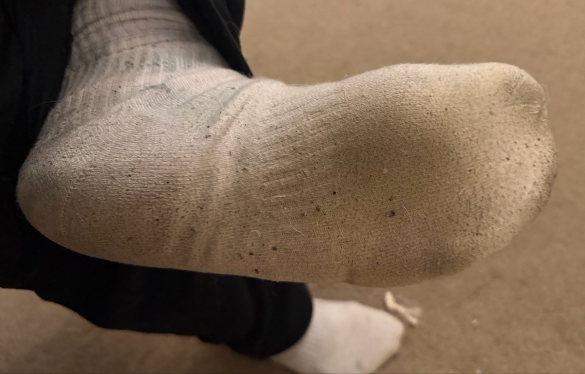 SolesOfSpritz's tweet photo. Imagine the smell of these socks x3
There’s another pair inside that’s baking inside these ones~

Bet you wanna take a sniff~

Pics like this and more on my telegram channel, including tummy and ass pics :3

#nsfw #nsfwtwt #furry #feet #paws #footfetısh #feetfetısh #dirty #socks https://t.co/fVn3j3Nydi