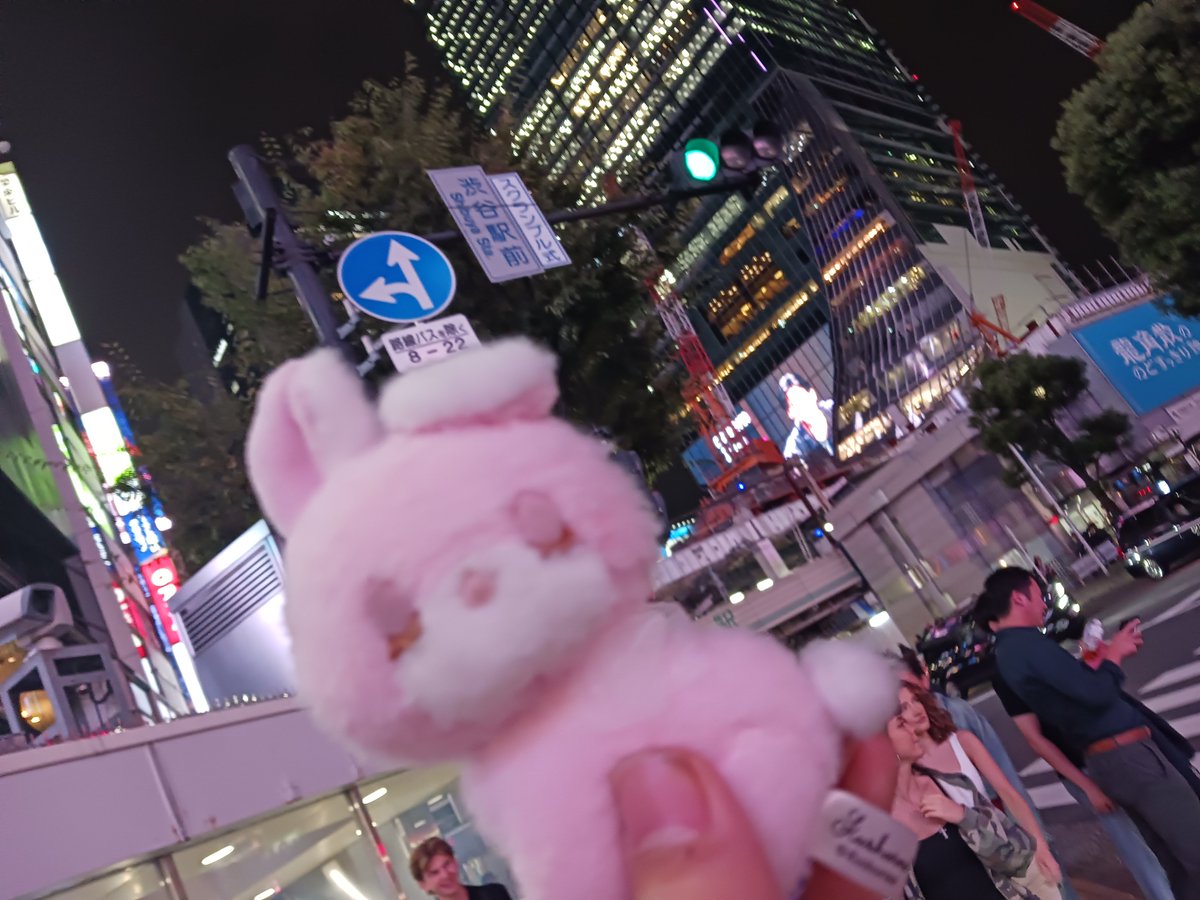 W8u2u's tweet photo. 昨日も、もももちゃんと一緒に渋谷♡
いつも一緒♡ずっーと一緒♡ https://t.co/KgoY5XcM1P