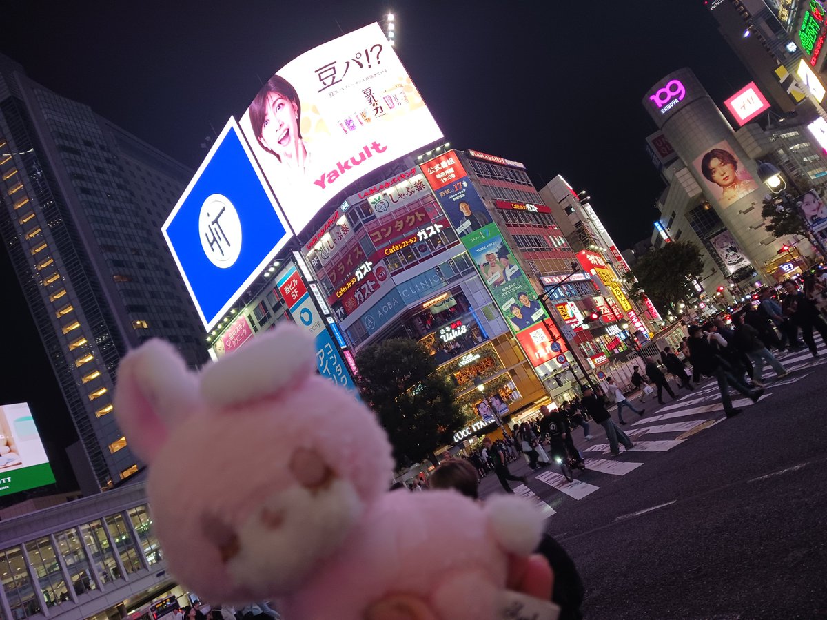 W8u2u's tweet photo. 昨日も、もももちゃんと一緒に渋谷♡
いつも一緒♡ずっーと一緒♡ https://t.co/KgoY5XcM1P
