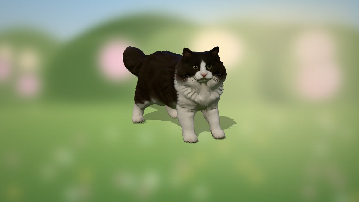 catcosanctuary's tweet photo. 🐱✨ Say hi to Media Day Cat!
👑 The famous cat of NBA
📜 A surprise cat stole the show at a basketball media day.
👀 As seen in @NBA's post
🎮 + its in-game look in the garden 🌿
🚀 Launched by the sanctuary
https://t.co/VluPOL0zIg
#catcoin #CatsOfX https://t.co/GQISyQ2HUX