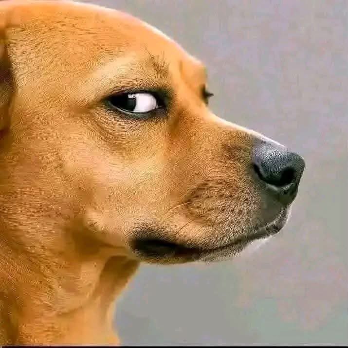 thattife12's tweet photo. You no get strength to hustle but you dey go 5 rounds 😒 https://t.co/k7rigKrg92