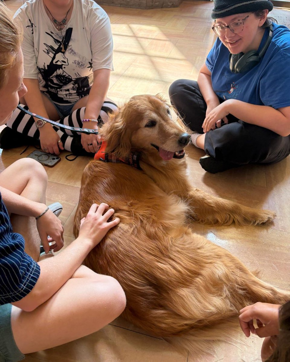 Pets4Pete tweet picture