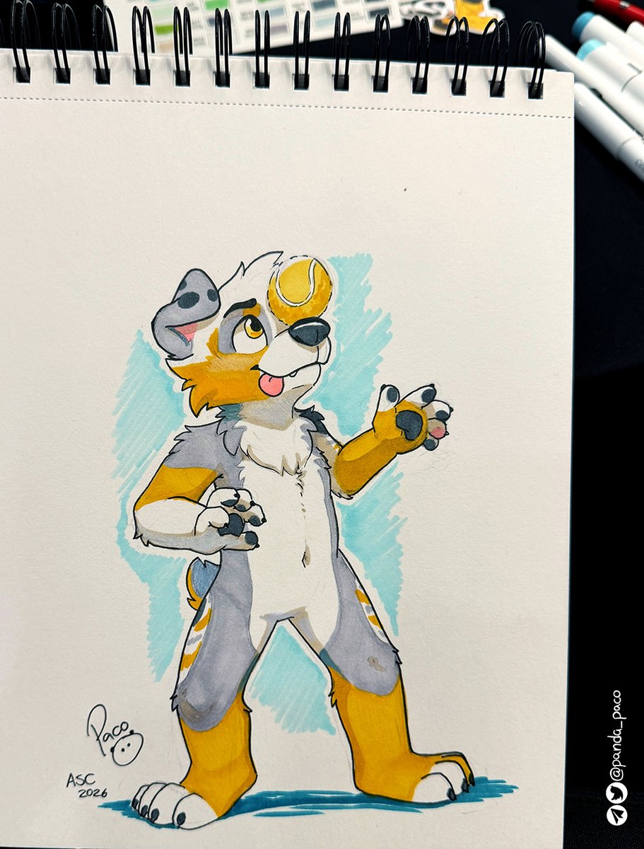panda_paco's tweet photo. Dogs are always showing off every little trick they know... and somehow they still win our hearts every single time.

Here's Baxter, making sure everyone sees how good he is at balancing his tennis ball!

Picture for @DoktorBarks , done at ASC's artists alley https://t.co/WVrCkTGmbc