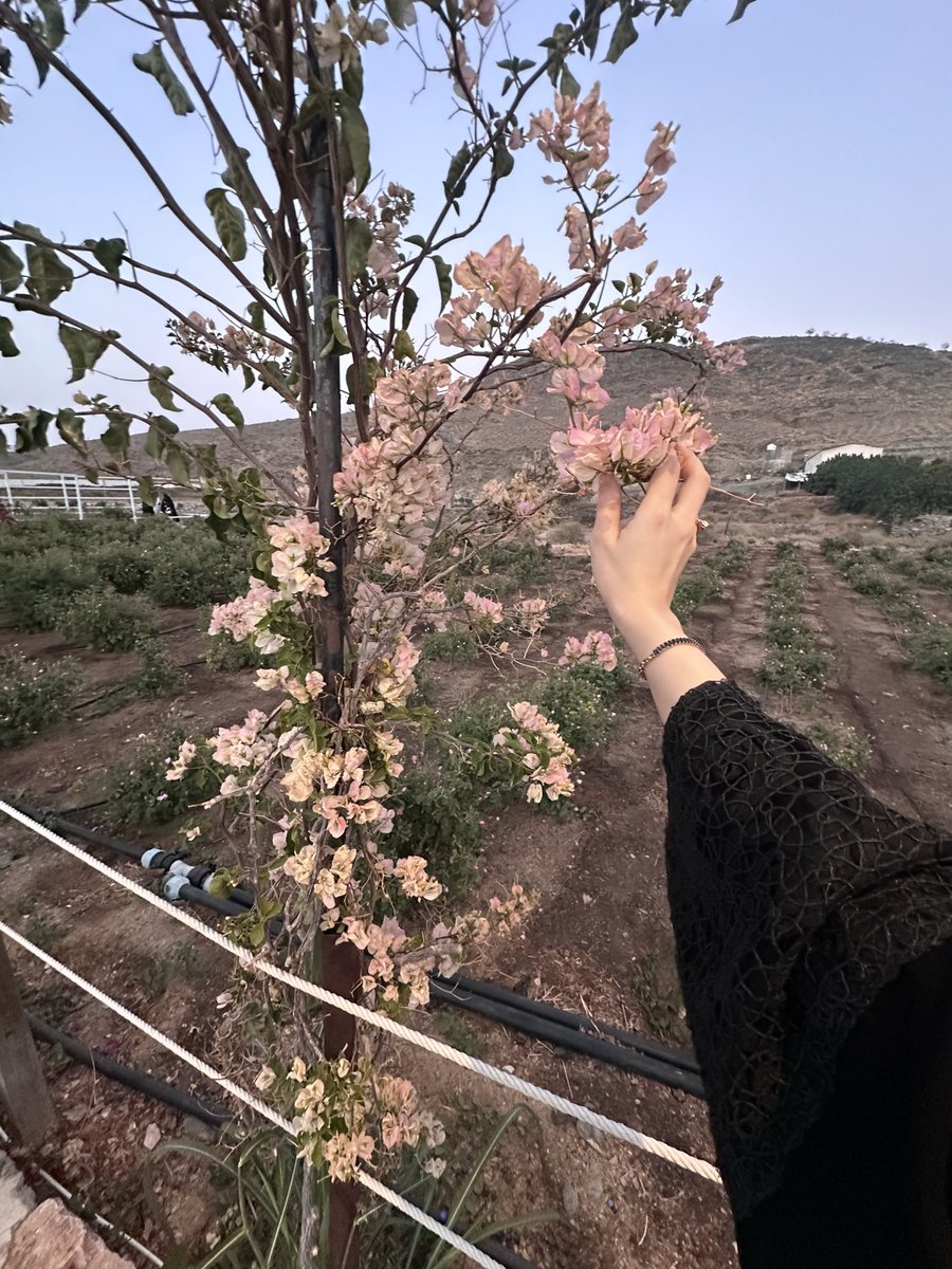 L0SH444's tweet photo. 2October 
بخصوص ذي الكيكه احلى سويت اكلته 😋 https://t.co/7wcHe2PVBu