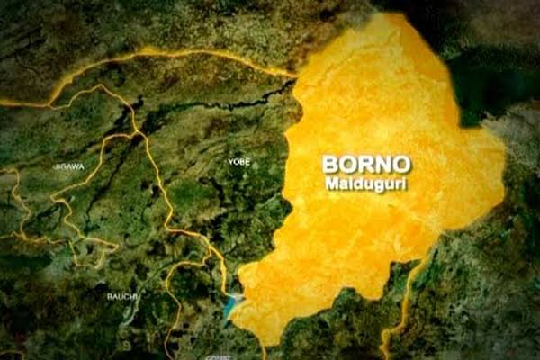 tvcnewsng's tweet photo. 15 Farmers Killed in Suspected Boko Haram Attack in Borno

https://t.co/JusCSO59N6 https://t.co/emrKeArxP8