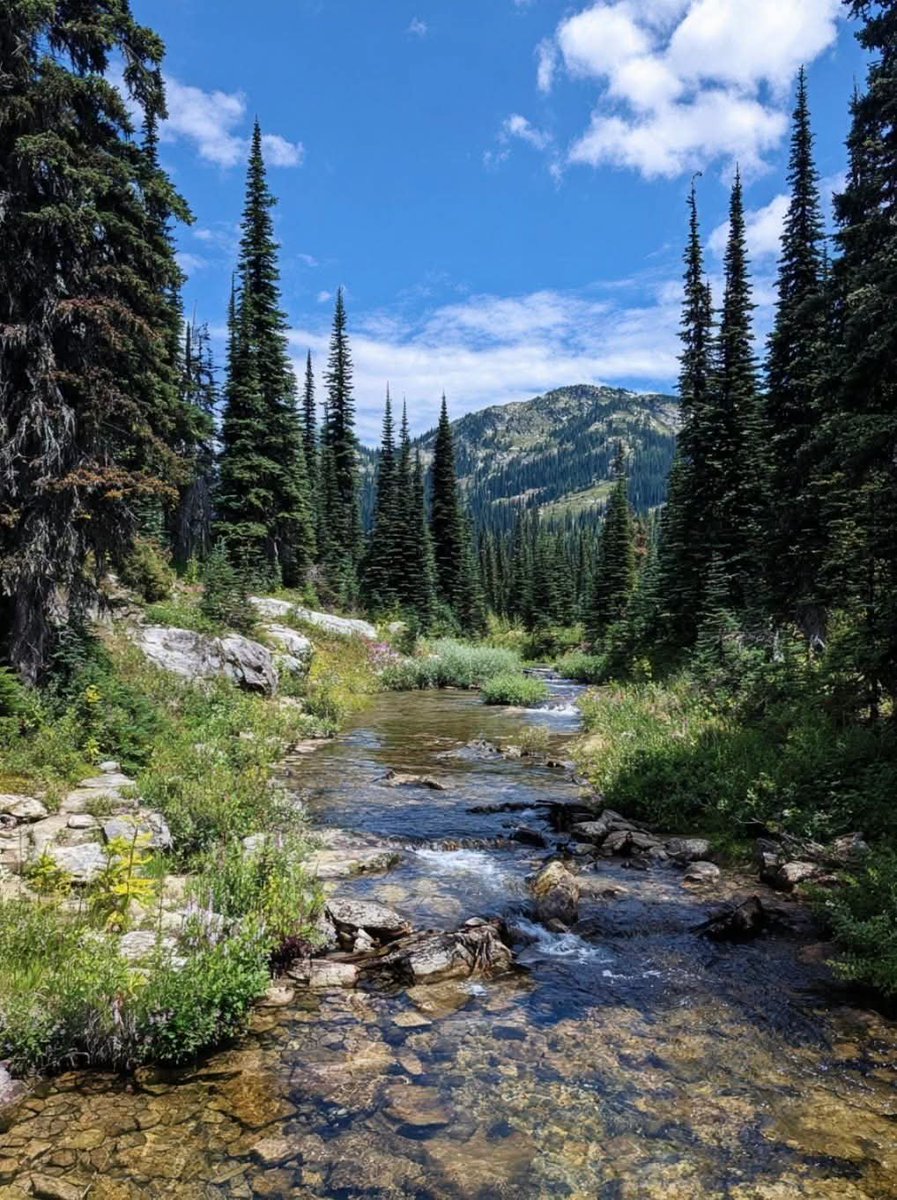 worldclick56's tweet photo. Fresh air and mountain trails. 🌲 https://t.co/UAgBOr4nSS