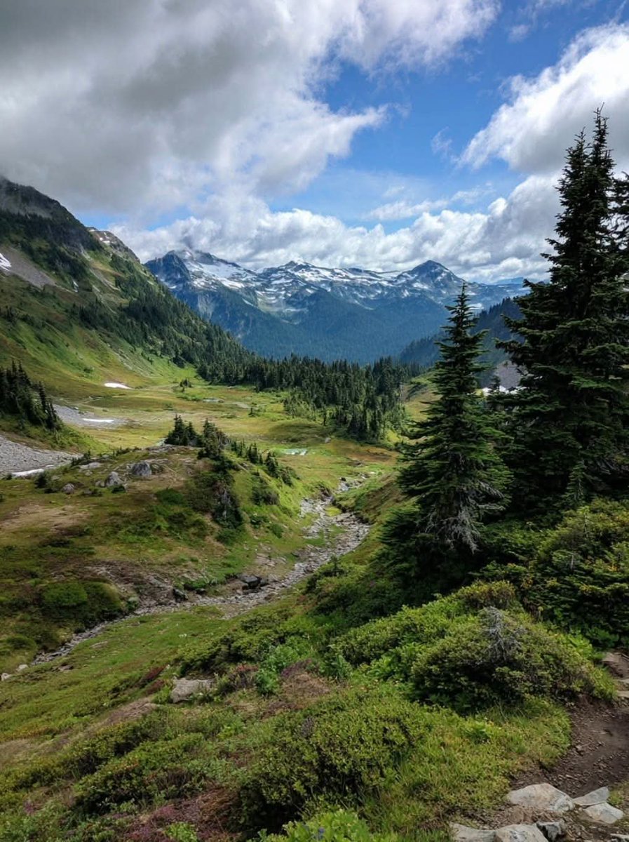 worldclick56's tweet photo. Fresh air and mountain trails. 🌲 https://t.co/UAgBOr4nSS