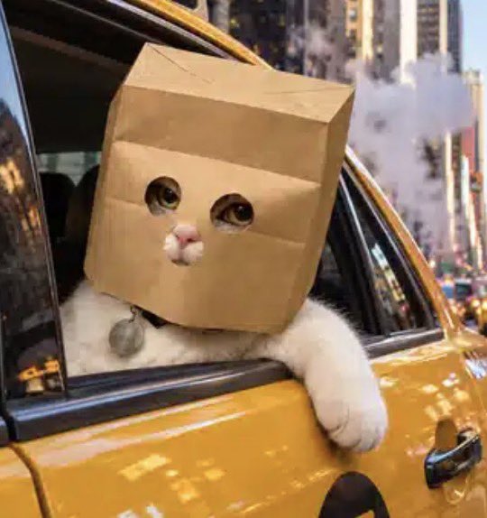 dmoyer15's tweet photo. $TACZ is at an extreme discount right now. 

when $ZCAT rebounds so will $TACZ 

ze bag stays on https://t.co/5nBbIv62KX
