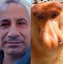 sawwk123's tweet photo. @EdyCohen أوجد خمسة فروق بين الصورتين https://t.co/v8KNwySIsl