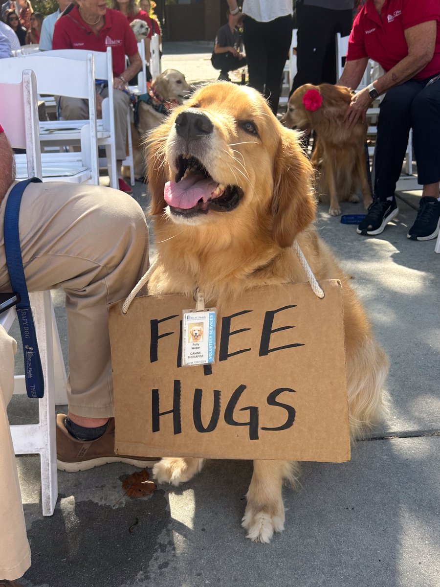 muschollings's tweet photo. A blessing for some very good dogs! @MUSCHealth's annual Blessing of the Therapy Dogs celebrates the PAWS teams who bring comfort and joy to patients and families across MUSC and Hollings. 

We’re grateful for every wagging tail that makes a difficult day a little brighter. 🐶 https://t.co/BbRViGSqGP
