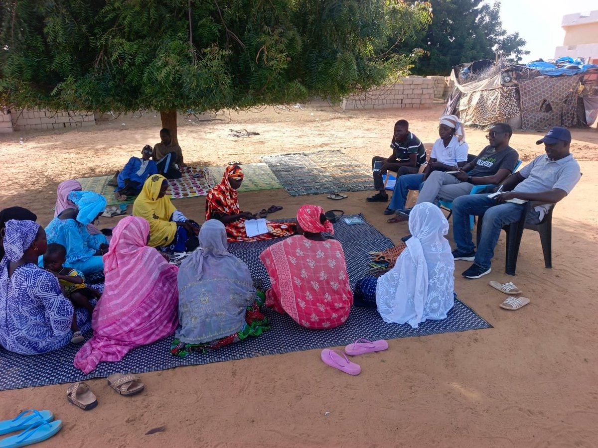 Haw_sn's tweet photo. À Podor, l'arrivée des chèvres du Waqf Agricole Public d'Élevage de Chèvres (#WAPEC) se prépare. Mardi 29/09, @HeiferSenegal a fait le point avec les femmes sur leurs acquis en élevage. Mercredi 30/09 et jeudi 01/10, les comités d'achat ont fait la prospection des marchés. https://t.co/arQll7POlB