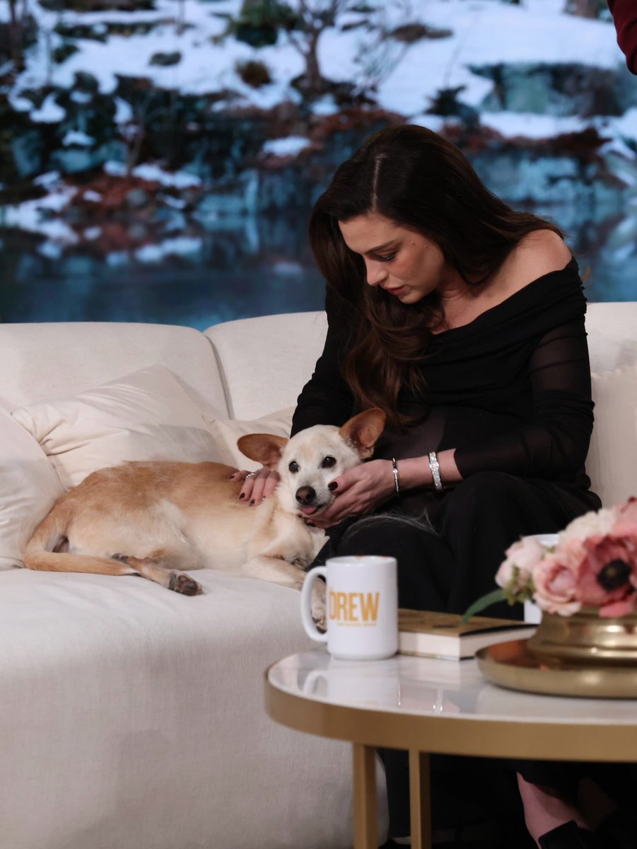 annehathawaybr's tweet photo. Anne Hathaway no programa "The Drew Barrymore Show" ❤️ https://t.co/UKkMkN6STc