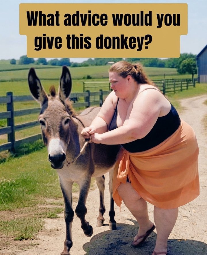 sabamaliktmhg's tweet photo. What advice would you give to donkey https://t.co/Uj5RQ8h8tv
