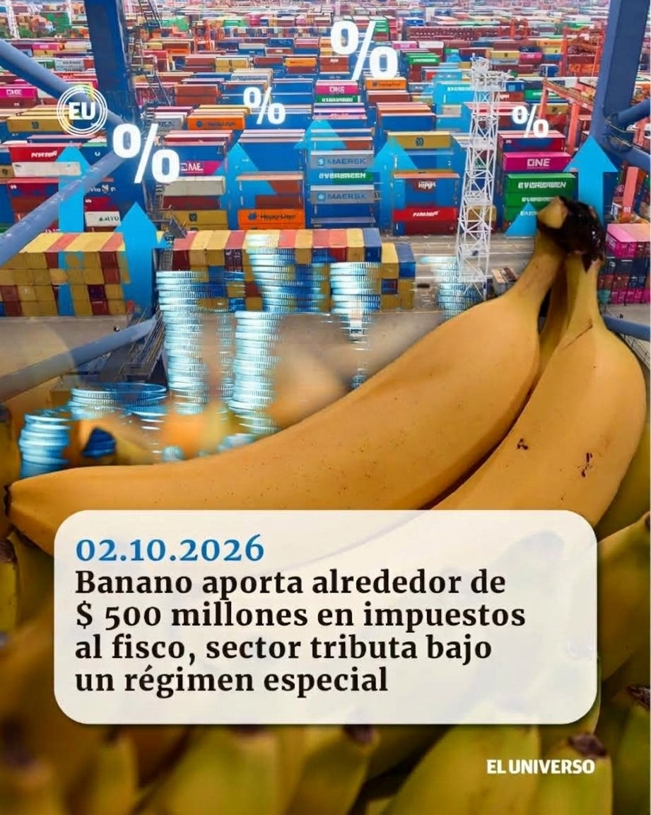 eluniversocom's tweet photo. #Ecuador | Banano aporta alrededor de $ 500 millones en impuestos al fisco, sector aclara que tributa bajo un régimen especial https://t.co/mb8cEYqUC4 https://t.co/TcgHxp2ZMj