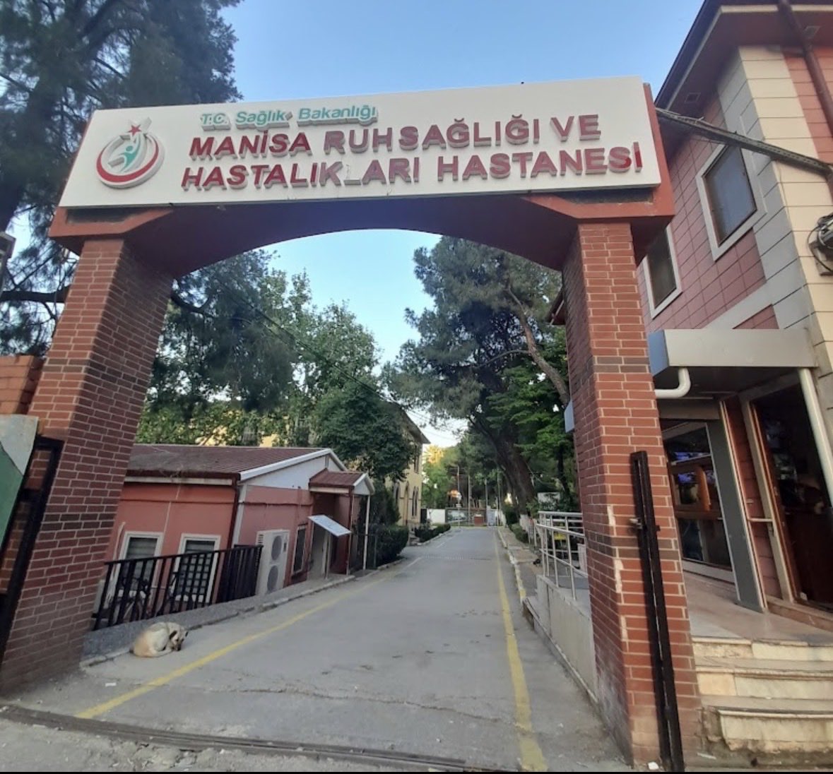 PikachuX1919's tweet photo. @ASENA8v @Soldassrn Şizofreni zor, Kendi hesap ismi dahi gerçek olmayan birisinin burada ders vermesine ne demeli bilemedim. Sana psikiyatrik klinik tedavi tavsiye ediyorum. En yakın yer Manisa ruh hastalıkları😊 https://t.co/GM9hM7Ao0H