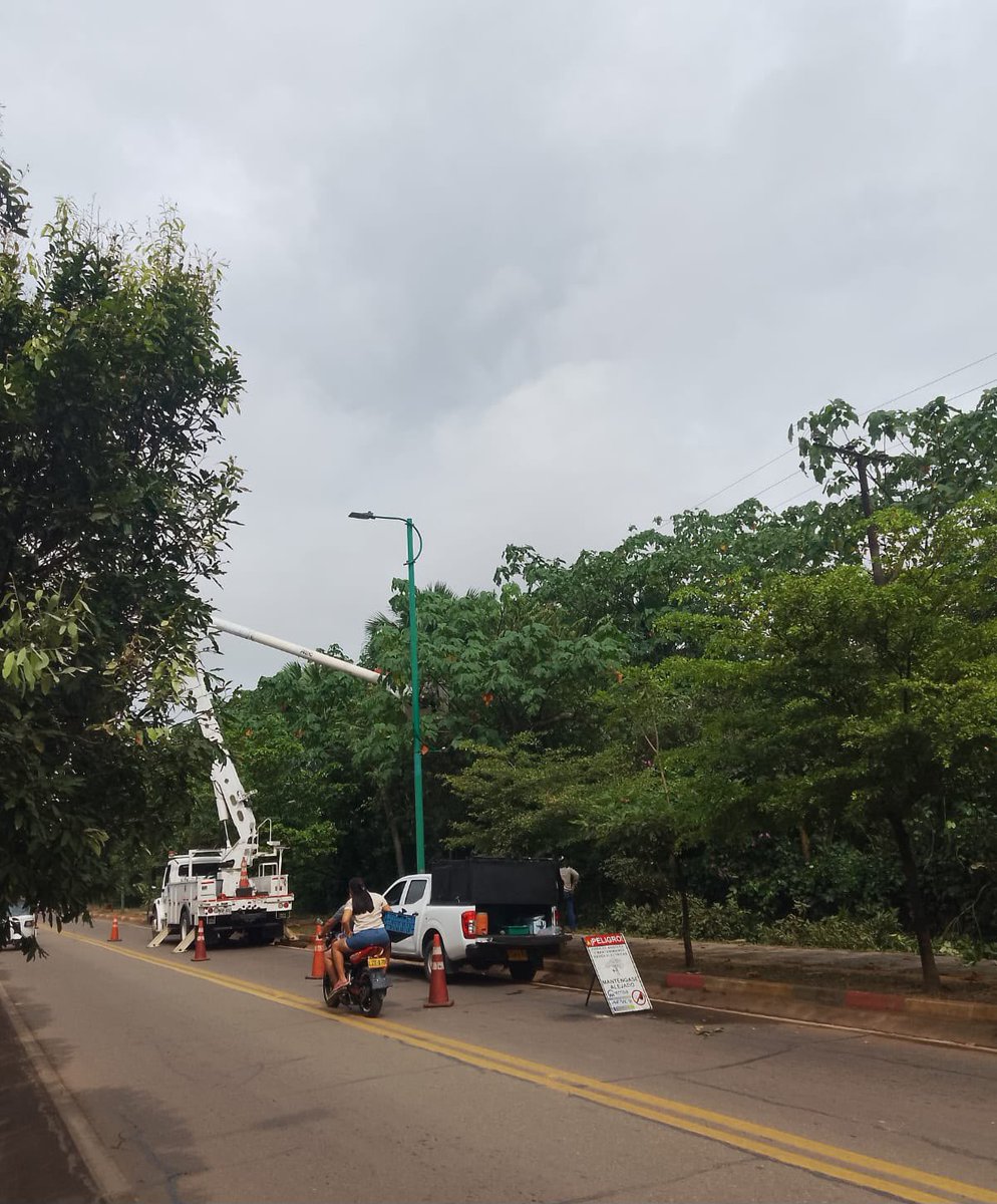 ReporterodelM's tweet photo. ⚡🌳 ¡Trabajamos por un servicio más seguro y confiable! Personal operativo de la Electrificadora del Meta (EMSA) adelanta labores de poda con línea viva en el municipio de Puerto Gaitán, sobre el circuito Yucao, hacia el sector Bateas. https://t.co/RTvc63zojQ
