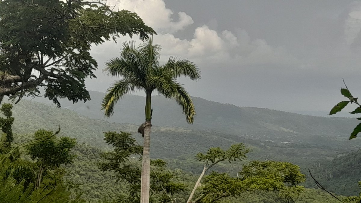 YoneisisJunco's tweet photo. Desde futetón, la lata #TercerFrente #NuestroEsfuerzoEsDiario con 4G y buena vista hacia el poblado de Cruce de Los Baños.
#100AñosJuntoAlmeida https://t.co/huLOrjNC5w