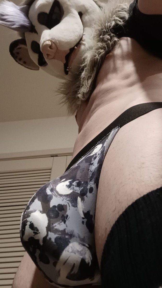 PugsPossumAD's tweet photo. Uhhh jocktober https://t.co/i5bYeT5kAS