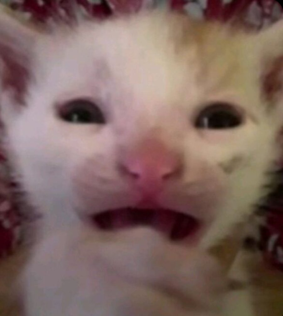 ZackAlt_2005's tweet photo. @RukiAlfa_ Pero si yo llego bien entusiasmado al stream cada que puedo pipipi https://t.co/QVbQPAJ42R