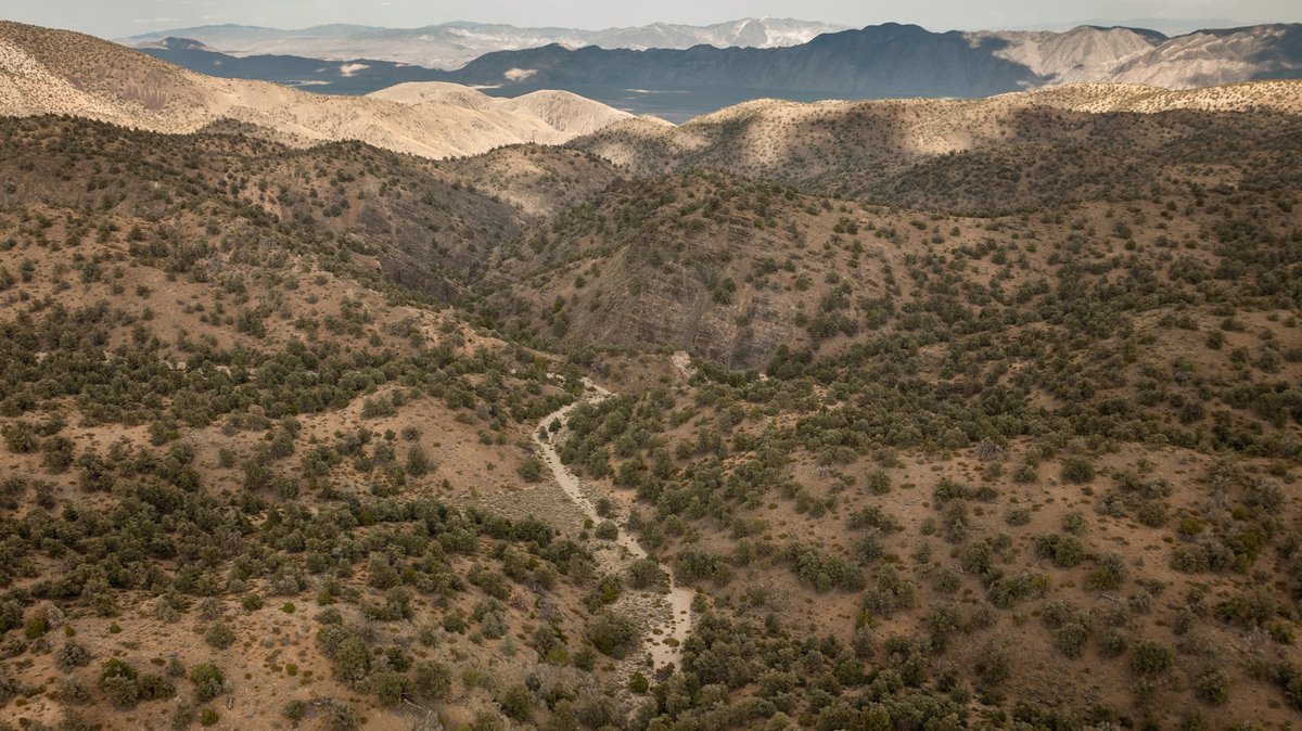 ESPM_Berkeley's tweet photo. A collaborative, three-year project involving tribal nations, federal agencies, volunteers, and researchers from @UCBerkeley and @Stanford is informing stewardship of important pinyon-juniper woodland ecosystems across the Eastern Sierra. https://t.co/E9mgprbFeB https://t.co/9S7UugnqS2