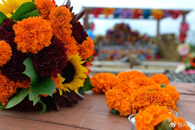 JocelynReahs's tweet photo. Hoy es el Día de Muertos, un día para recordar a nuestros seres queridos que ya no están! Un abrazo cálido para todos. https://t.co/UzlmaCEMLM