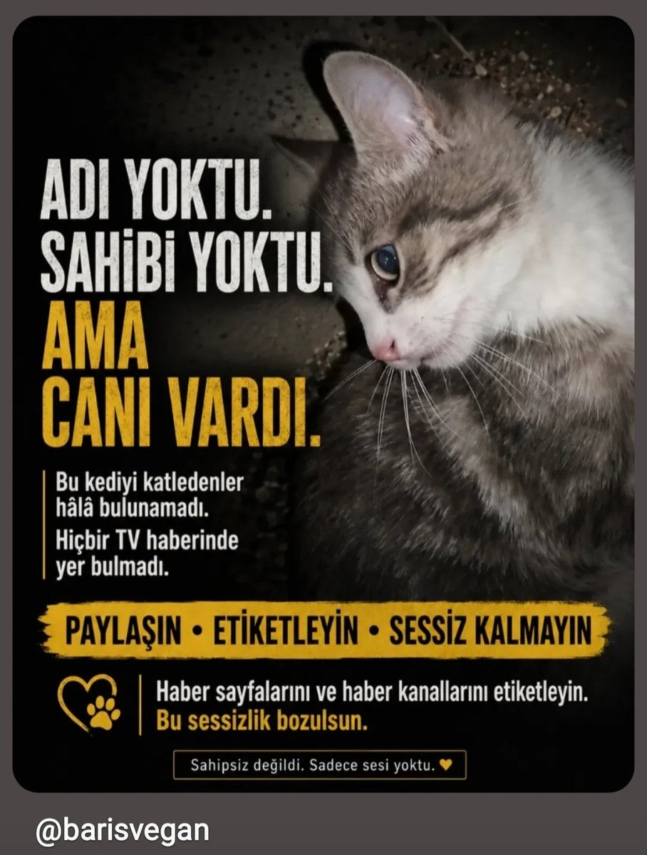 devrandemir_'s tweet photo. Unutmadık!!
Adalet yerini bulana kadar bir avuç kişi dahi kalsak devam edeceğiz..

#miniğiunutma 
#YavruKediçinAdalet 
@EmniyetGM 
@abakingurlek 

#BELTUR 
İbrahim Hacıosmanoğlu
#TaşacakBuDeniz https://t.co/y7WtFCq3g3