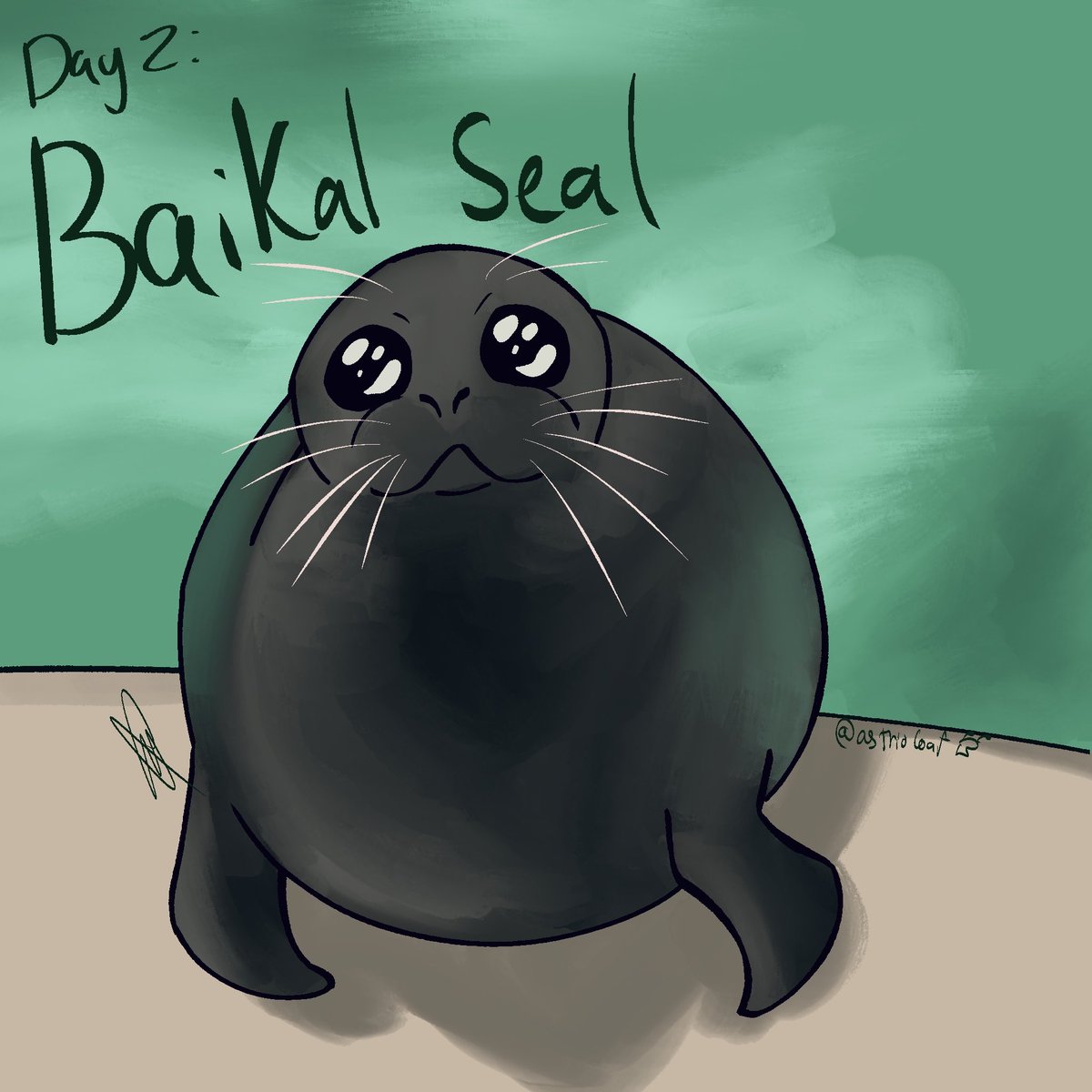 astrioloaf's tweet photo. #sealtober day 2: Baikal seal 
Decided to draw this super round chud bc I love it
#seal #seals #sealtober2026 https://t.co/oYfYldECce