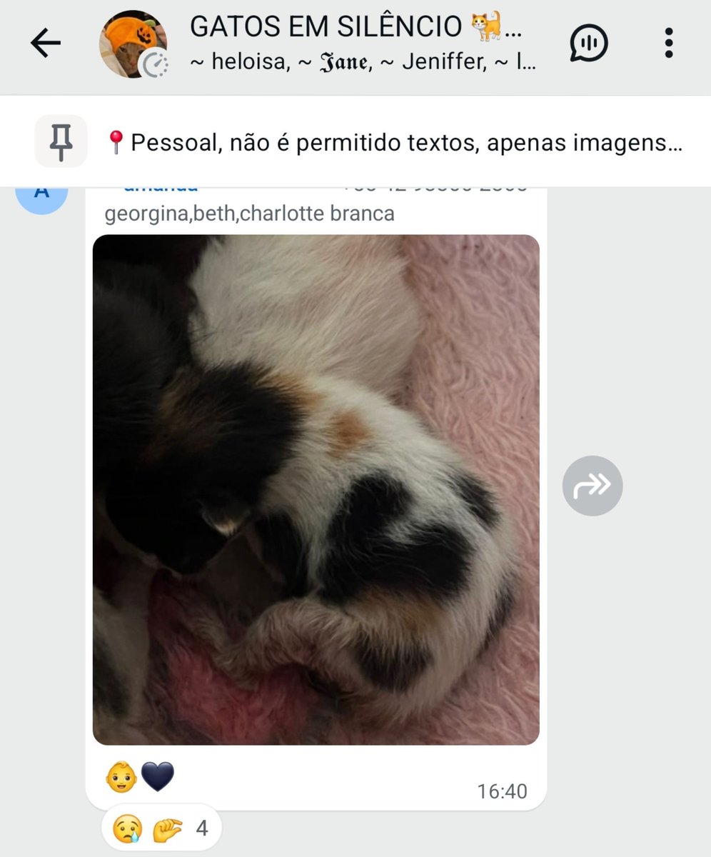 17dFEVEReiro's tweet photo. guria mandou foto do gato com coração preto o povo achou q era de luto https://t.co/1wdDtZQe8n
