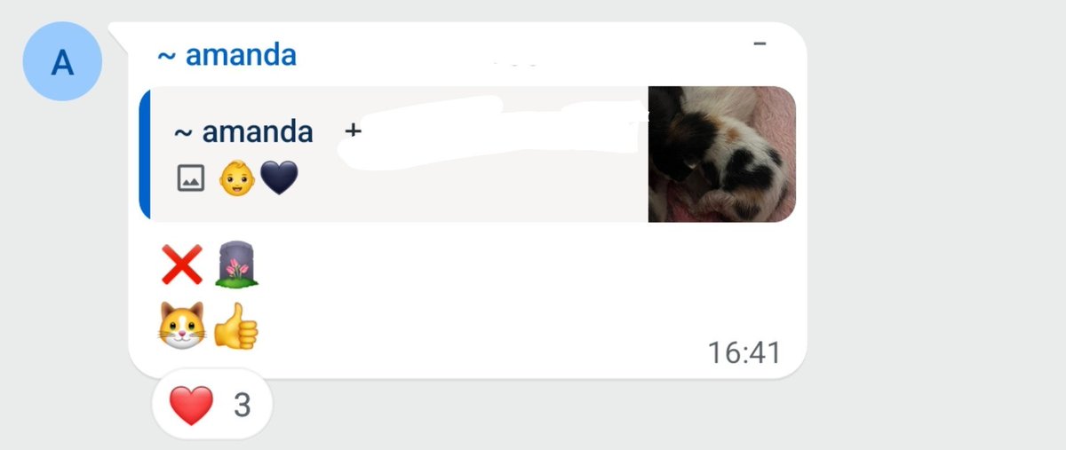 17dFEVEReiro's tweet photo. guria mandou foto do gato com coração preto o povo achou q era de luto https://t.co/1wdDtZQe8n