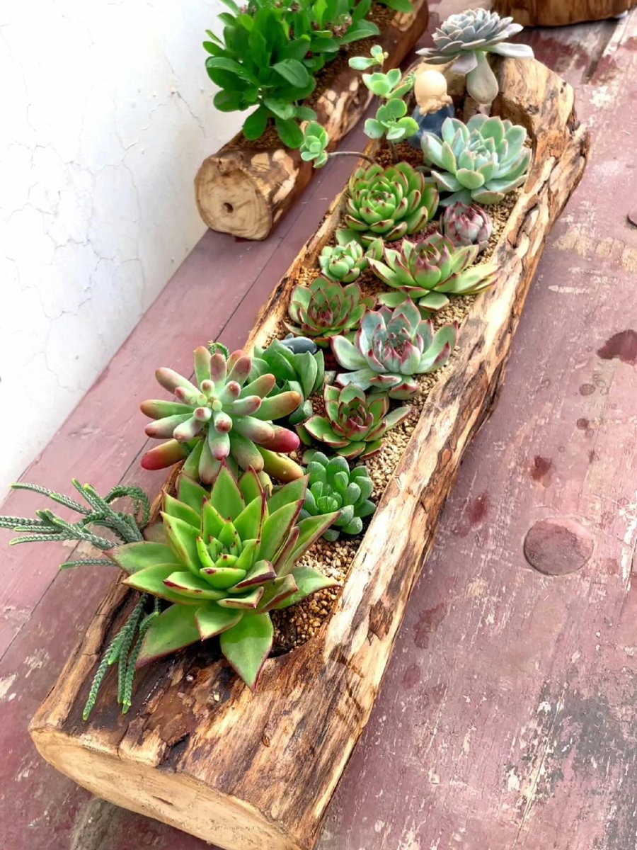 KimberlyHafdkh's tweet photo. Vieja caja de madera se convierte en maceta para suculentas! Reutilizar no cuesta nada y es genial para decorar el balcón. https://t.co/jUjuOYetTf